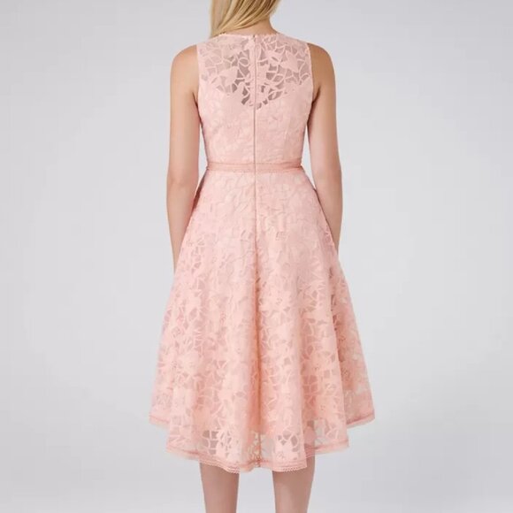 BNWT Beautiful Ever New Octavia Organza Prom Dress Size 6 - Picture 4 of 13